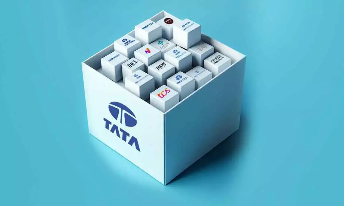 Will Tata Sons’ IPO Go Through As Deadline Nears?