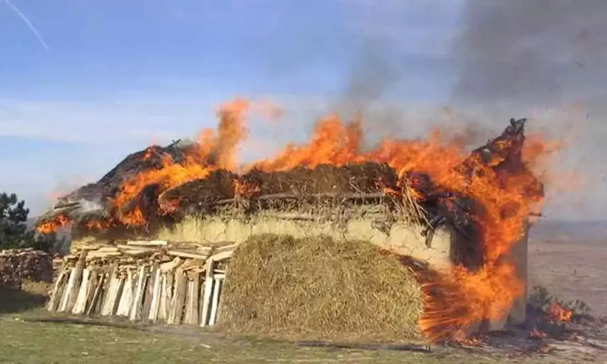 Trypillian Settlement Layout Disrupted Spread Of Diseases And Transmission: New Findings