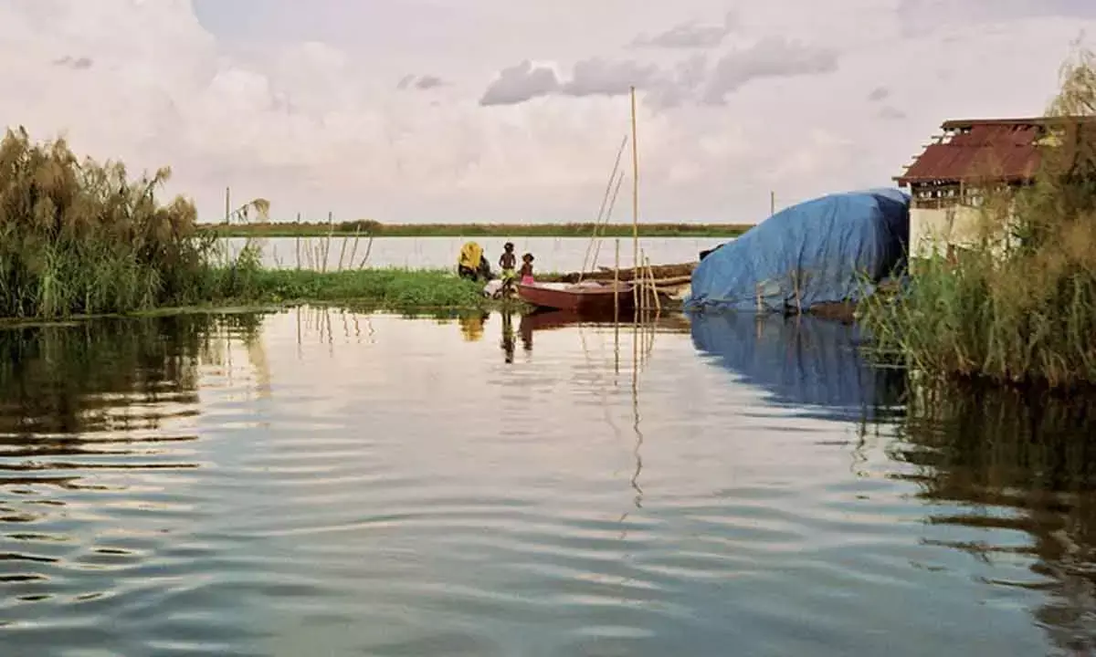 Green group’s SOS To AP CM Naidu To Save Kolleru Wetland