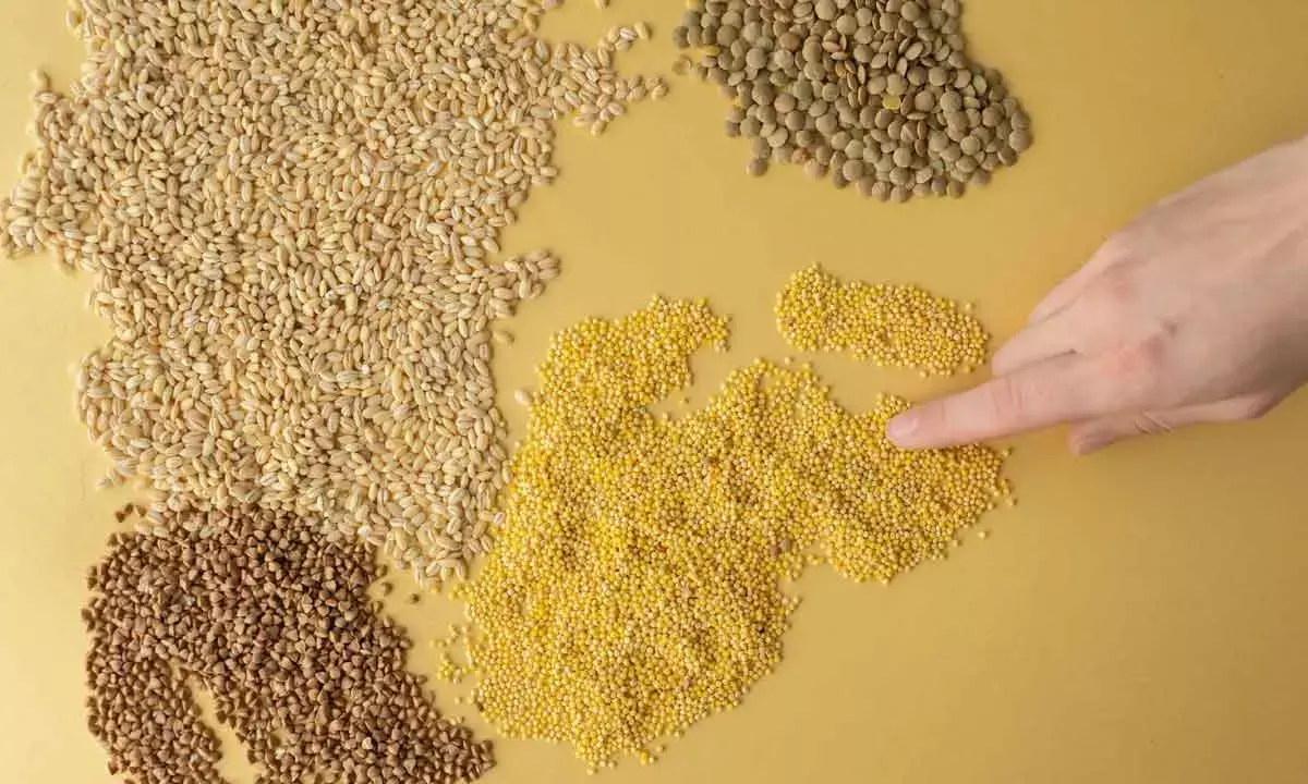 Centre Sets Targets For Food Grain Output