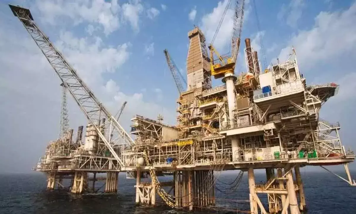 Govt Cuts Natural Gas Price