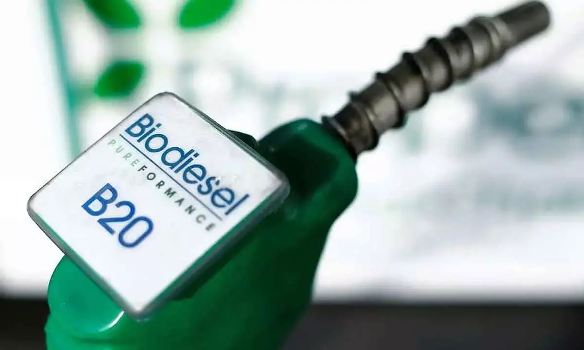 India Saved Rs 1.06 Lakh Crore In Foreign Exchange From Biofuel Blending