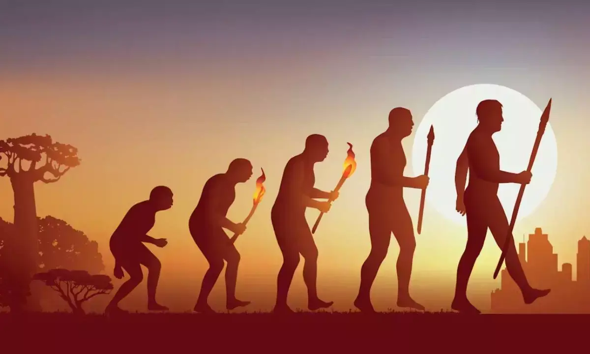 How light helped shape our skin colour, eyes, curly hair