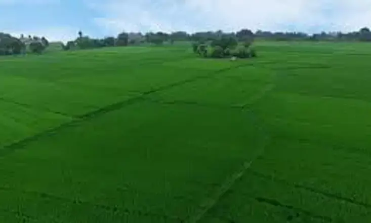 Bhumata Portal to Replace Dharani Soon; Work in Progress