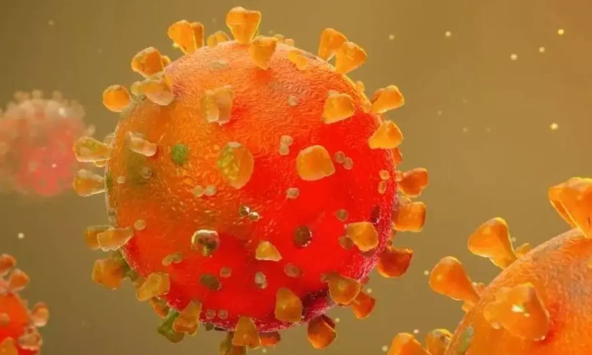 How Covid virus defeats body’s immune response