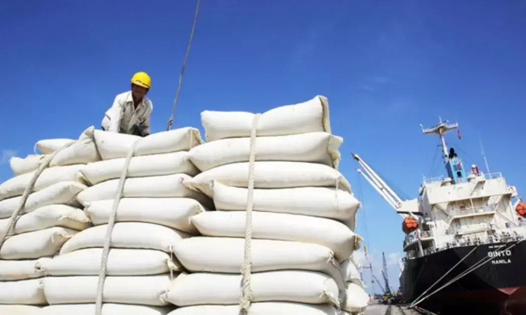 Govt lifts curb on non-basmati white rice exports, removes floor price