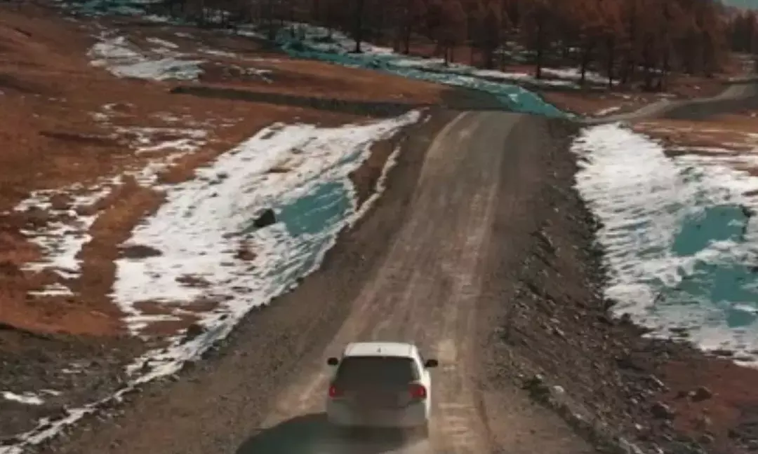 Top 10 Safest Cars in India (2024) – Best Safety Ratings!