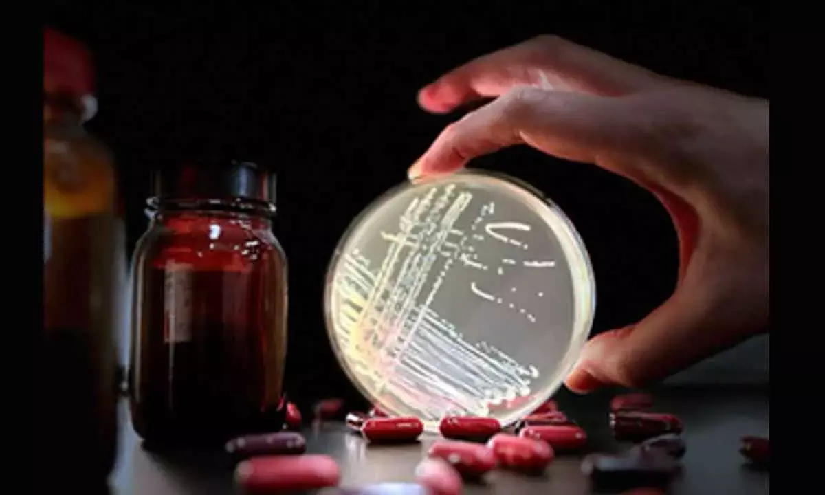 Researchers Identified Common Antibiotic Driving Rise Of Superbug