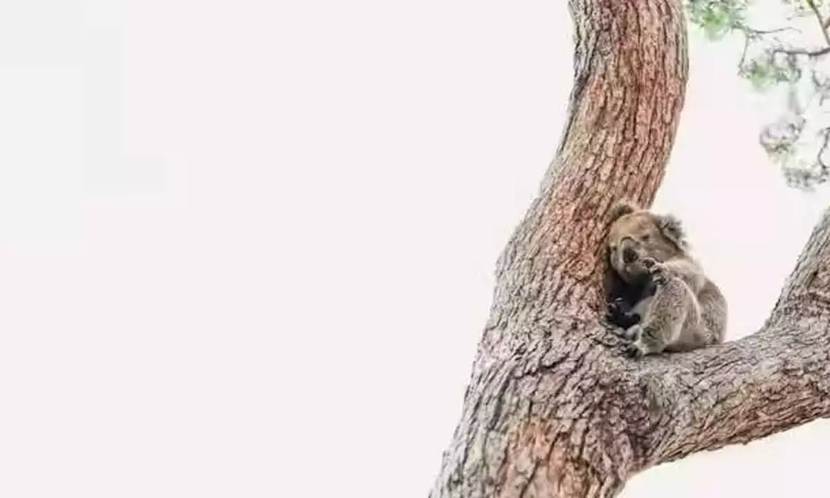 4 Steps To Make Real Advancement Towards Restoring Nature