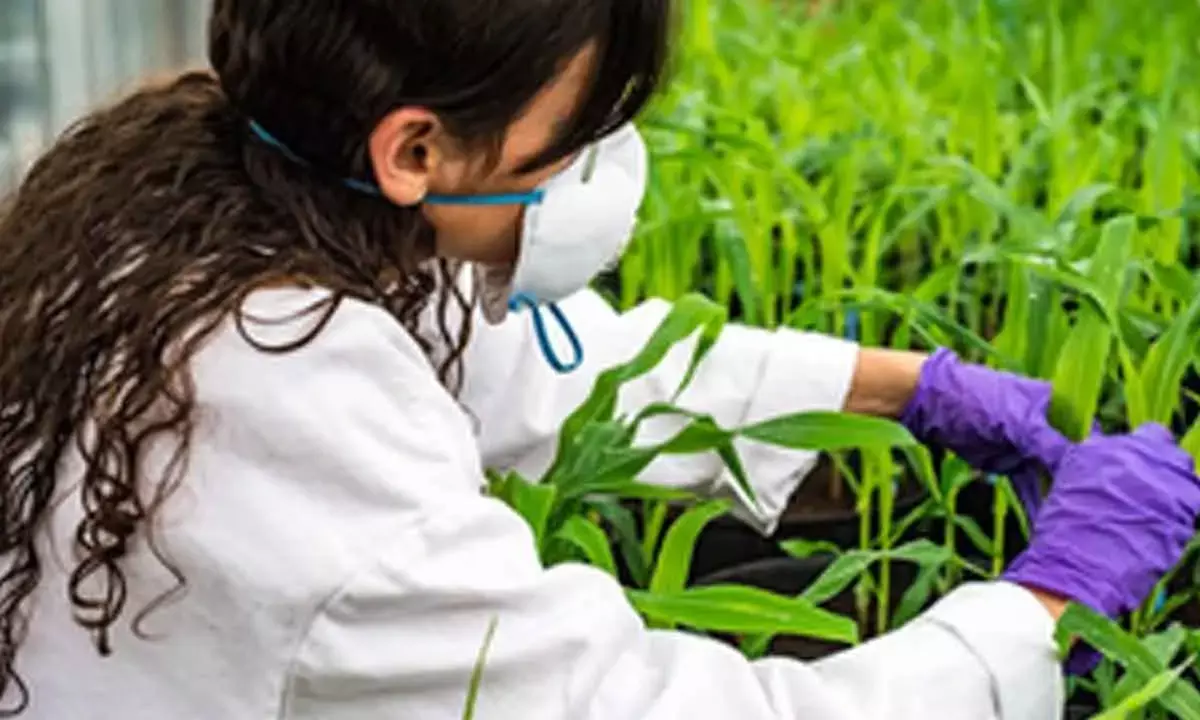 Centre To Launch BRIC-National Agri-Food Biomanufacturing Institute