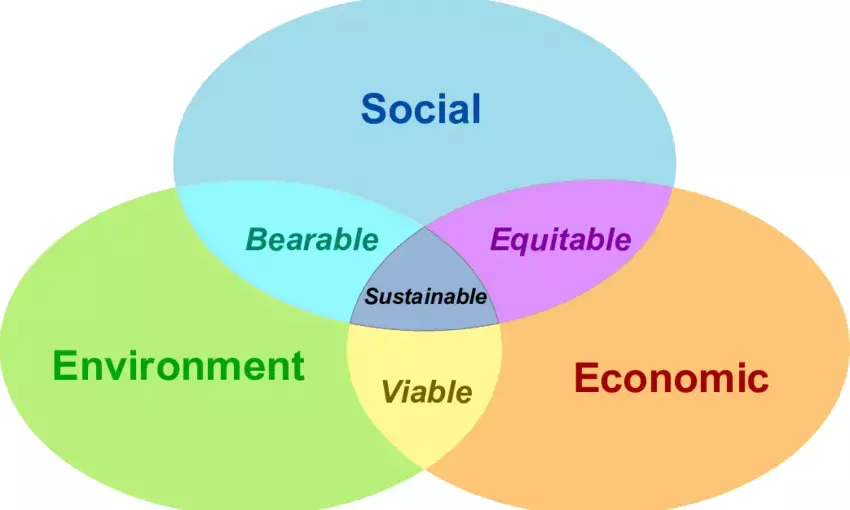 The Intersection of Environment Development and Sustainability