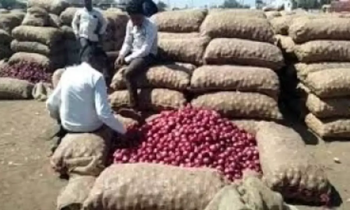 Second train with 840 tonnes of onion arrives in Delhi to boost availability
