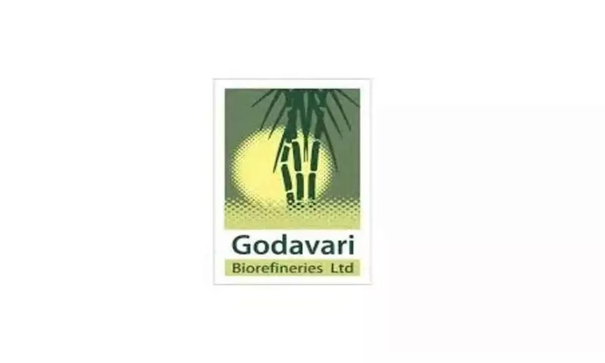 Godavari Biorefineries Debuts At 3% Discount