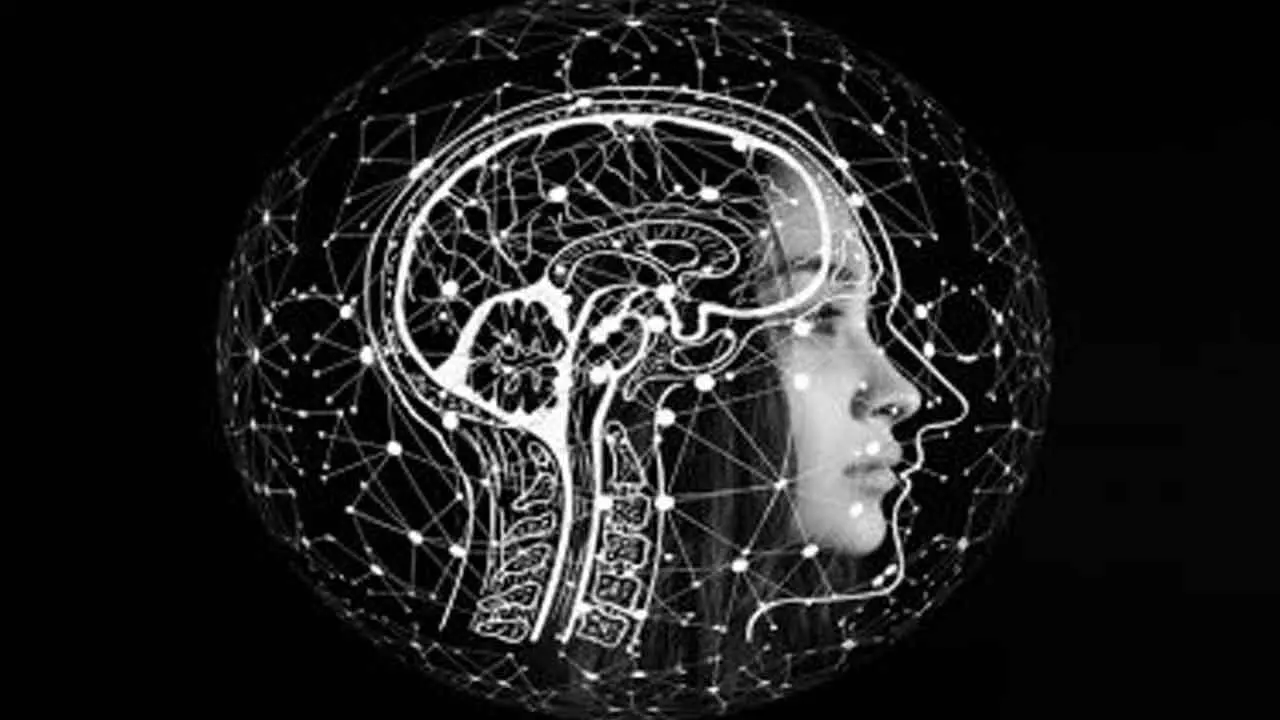 Why Women More At Risk Of Strokes Than Men? Why Women More At Risk Of Strokes Than Men?