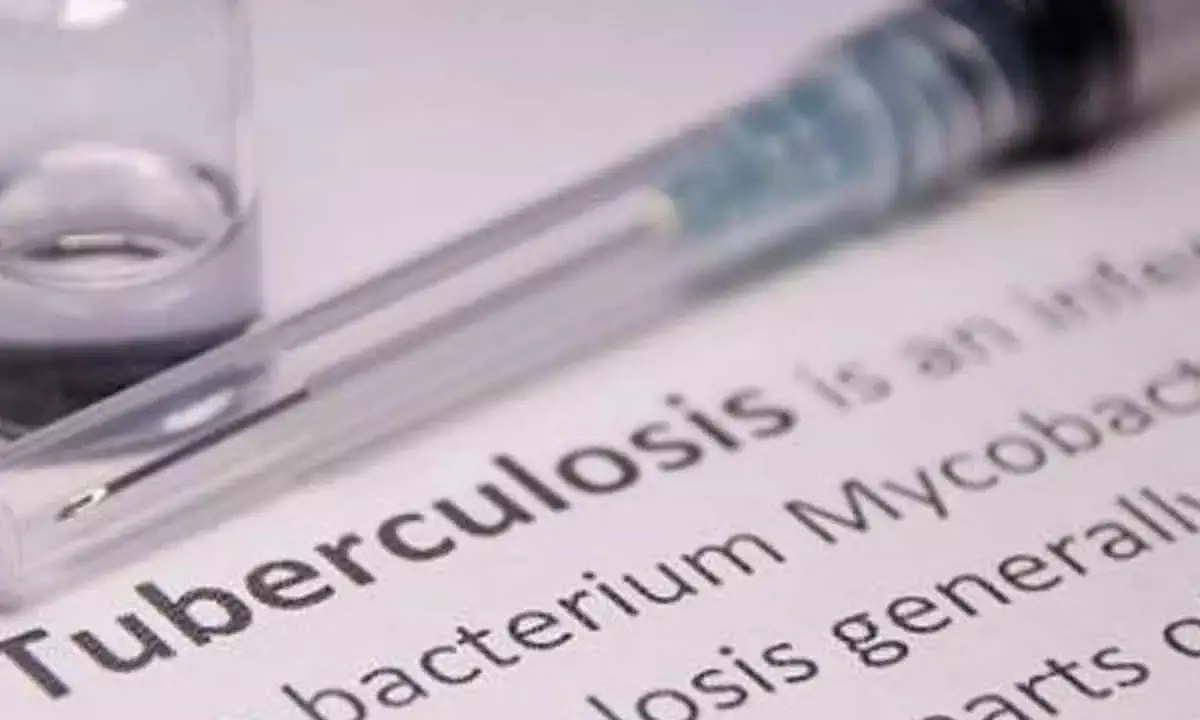 India Offers High Treatment Coverage Against TB: WHO