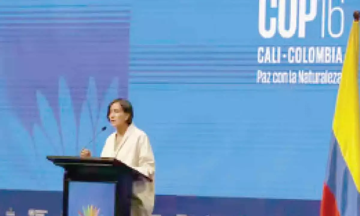 Five Things You Can Do To End The Biodiversity Crisis