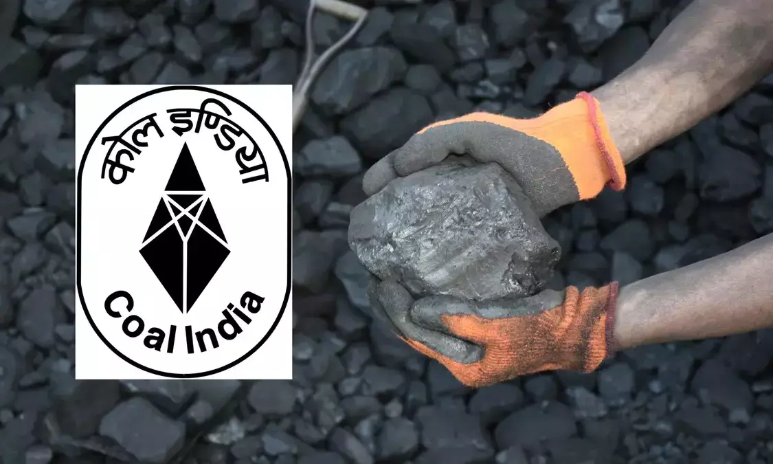 Coal India hopes to rejoin dividend list as ECL improves performance