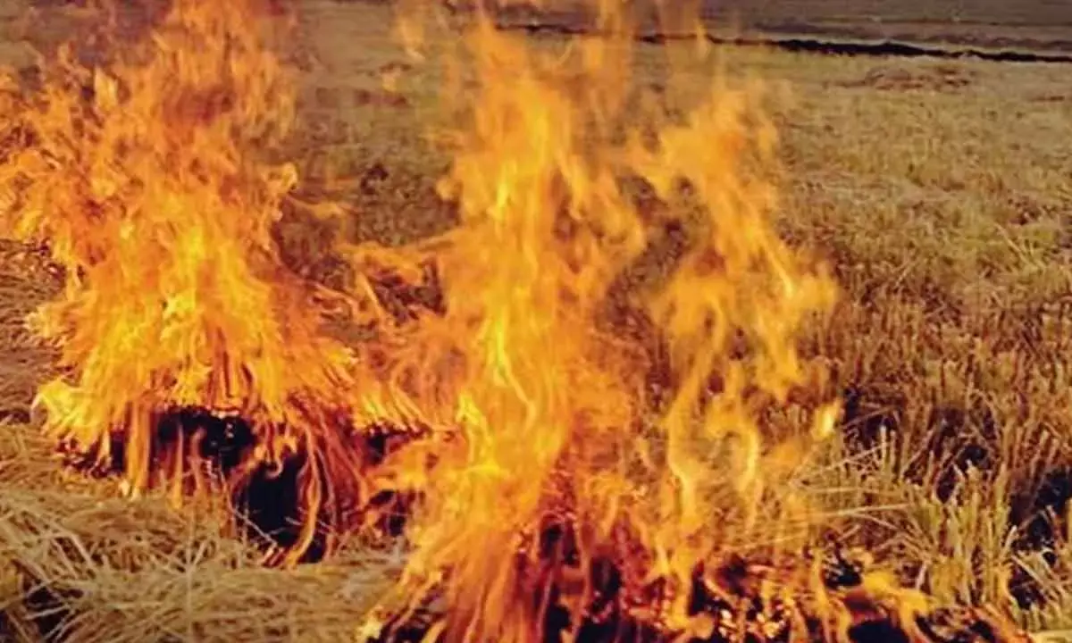 Govt Interventions In India, Pak Can Cut Deadly Pollution