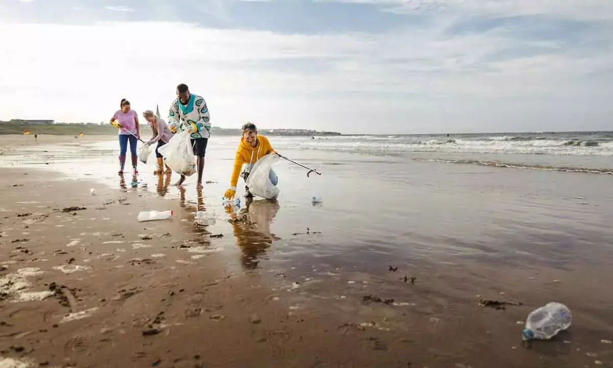 How Ocean Conservation Can Improve Human Health