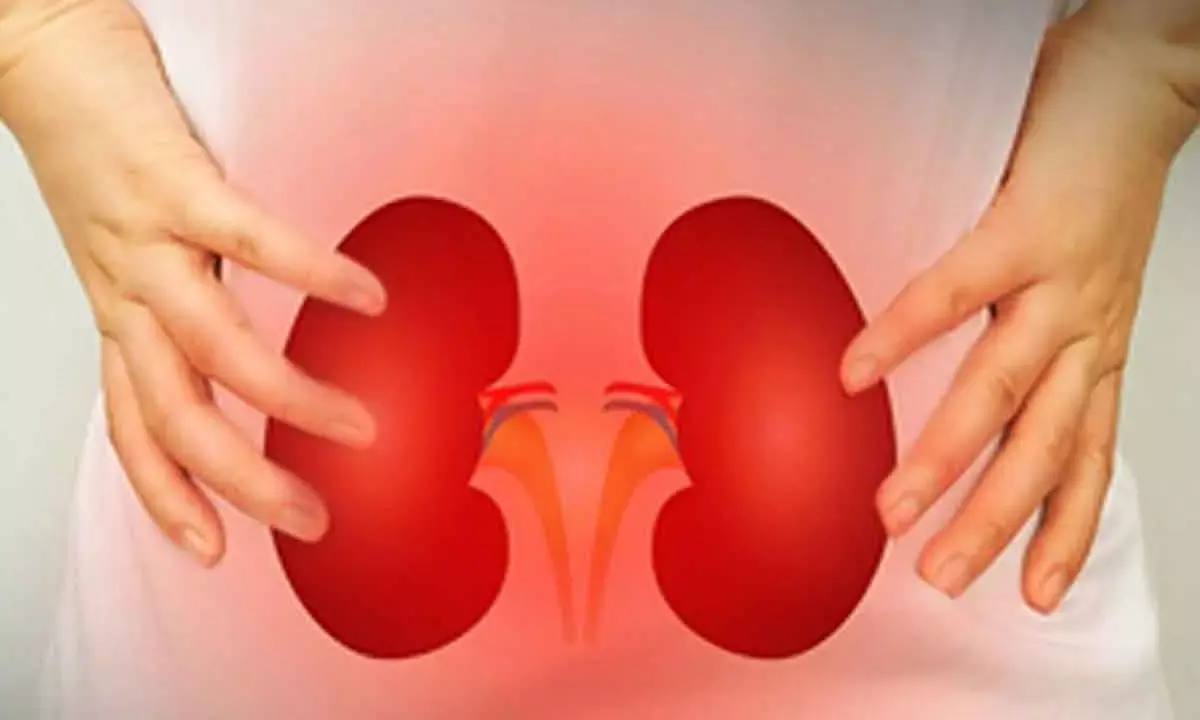 High BP can damage kidney functions even before symptoms appear: Study