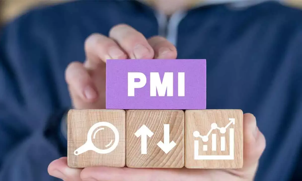 Biz Expansion Fuels PMI Services Growth