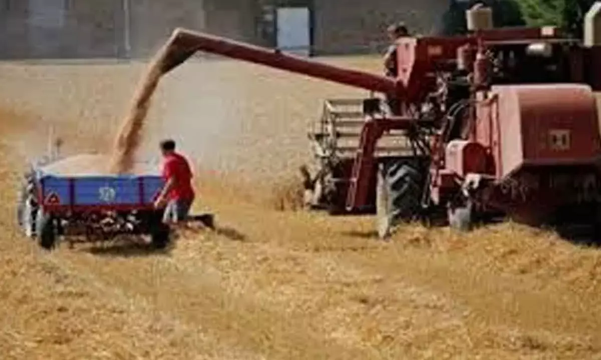 Cabinet Okays Rs 10,700 Cr Equity Infusion In FCI