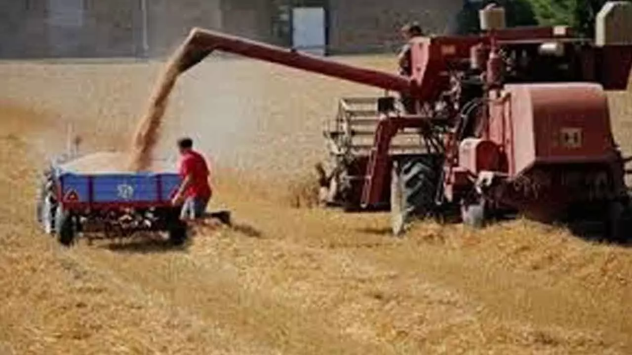 Cabinet Okays Rs 10,700 Cr Equity Infusion In FCI Cabinet Okays Rs 10,700 Cr Equity Infusion In FCI