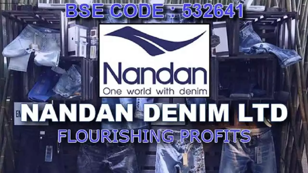 Nandan Denim PAT Jumps 64% YoY In Q2FY25 Nandan Denim PAT Jumps 64% YoY In Q2FY25