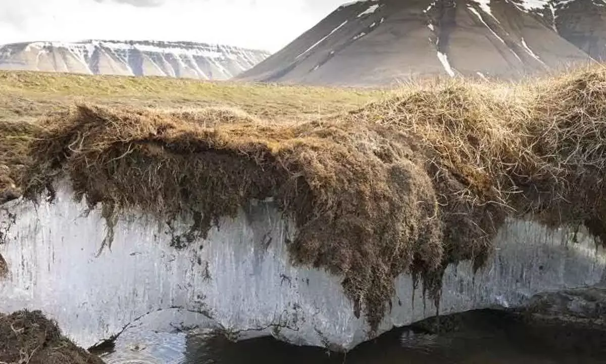As Permafrost Melts, Will Carbon Sink Become A Climate Catalyst?