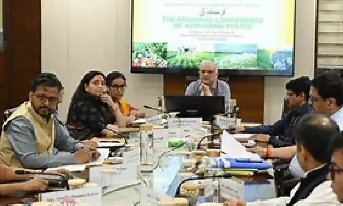 Govt urges northern states to expedite execution of schemes