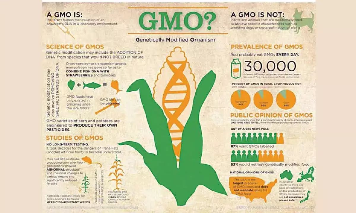 Govt Must Debate And Discuss With All Stakeholders Before Finalising Policy Document On GM Crops