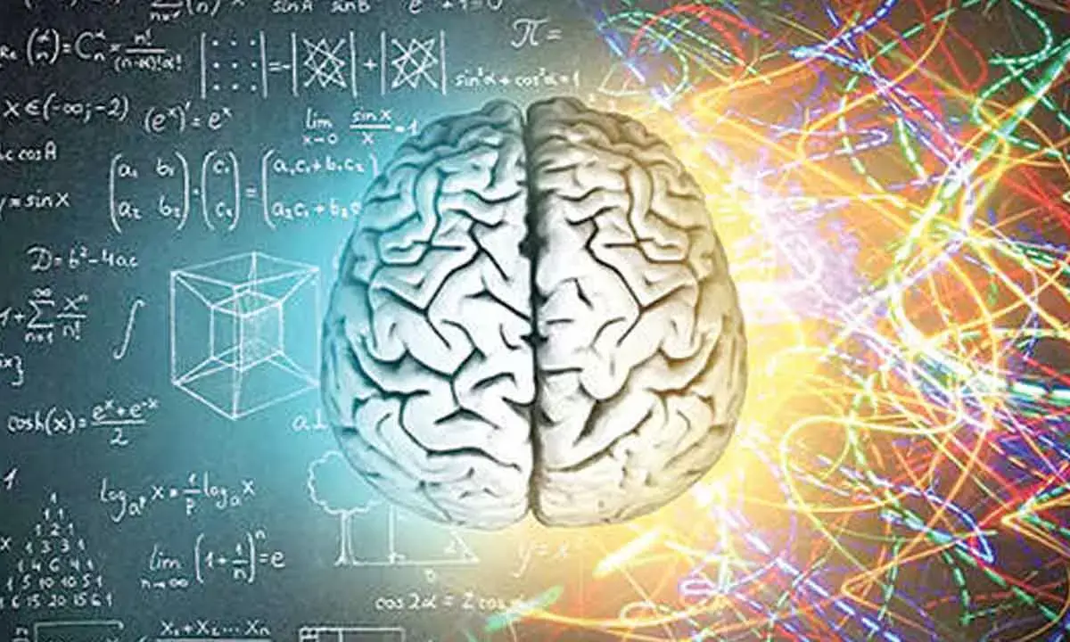 One Must Go Beyond Individual Focus And Scalable Teamwork To Understand The Brain