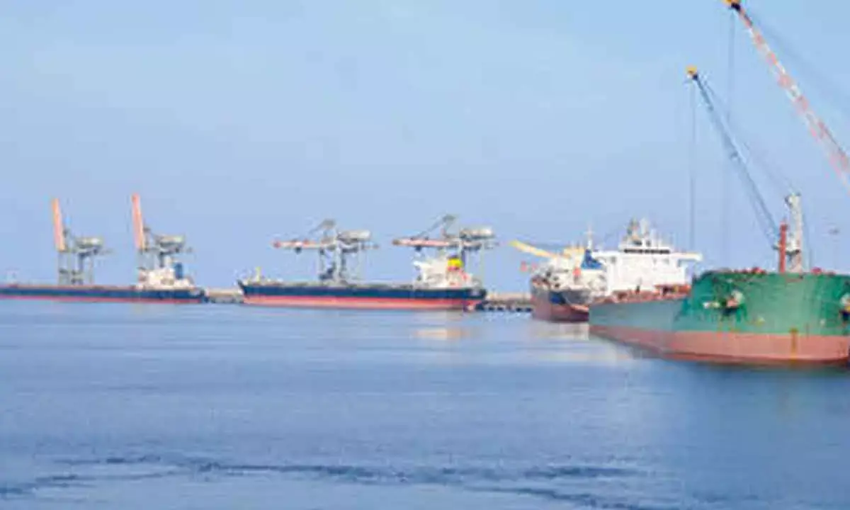 Adani Gvaram Port Sets Record In Log Handling
