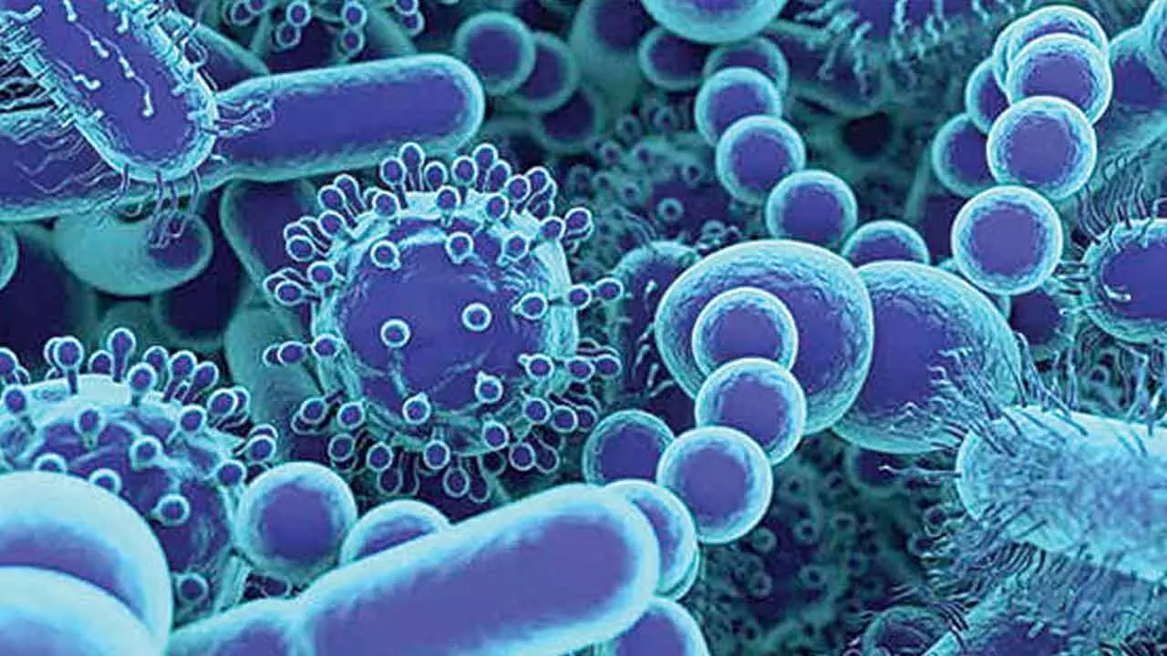 Can Gut Health Predict Arthritis? Can Gut Health Predict Arthritis?