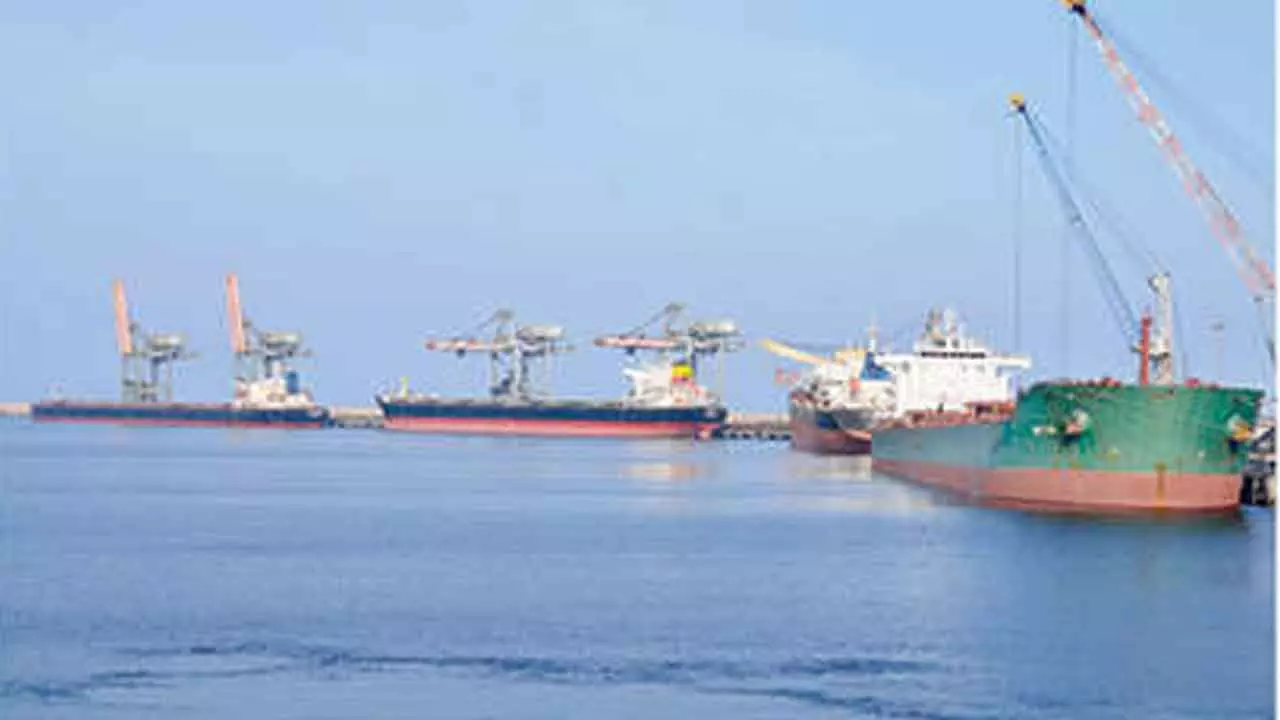 Adani Gvaram Port Sets Record In Log Handling Adani Gvaram Port Sets Record In Log Handling