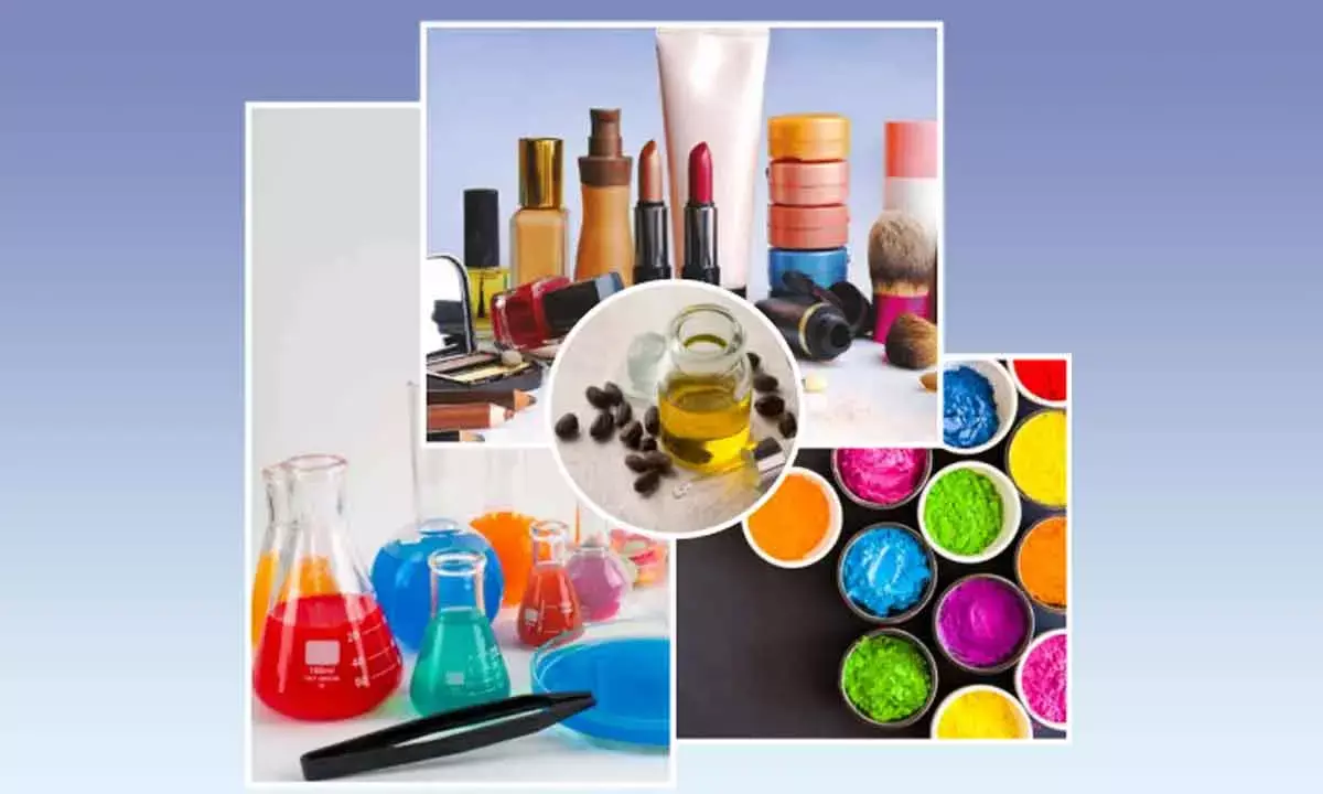 Chemexcil Pegs $31-Bn Chemical Exports In FY25