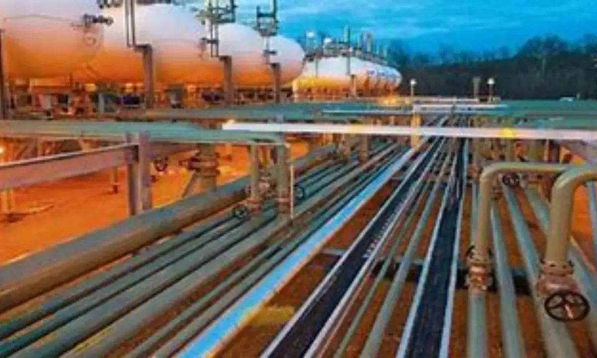 Gas imports to decline: Puri