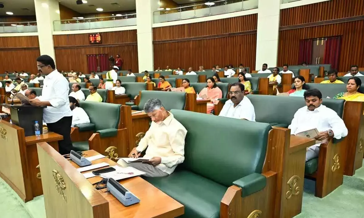 Andhra Pradesh Govt Presents Rs 2.94L Crore Budget For FY25