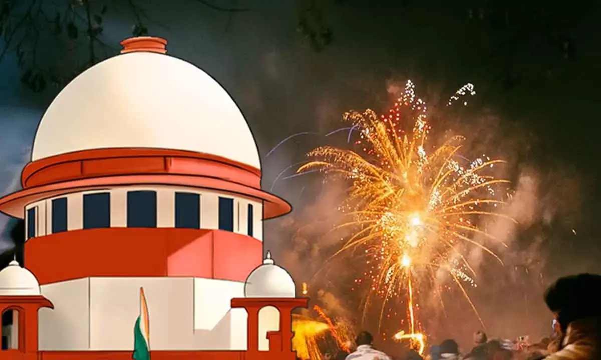 SC Urges Delhi Govt To Decide On Yr-Round Firecracker Ban