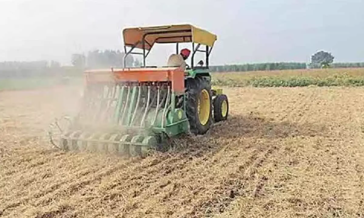 Wheat Sowing On Track Despite Delayed Paddy Harvest