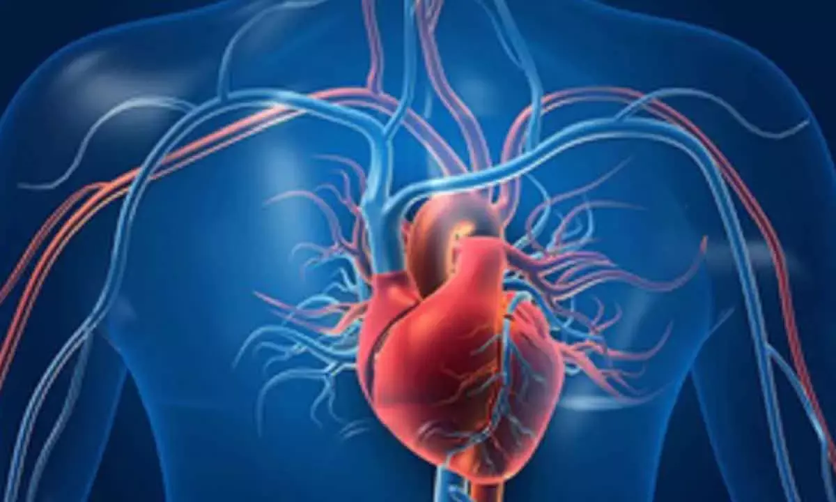 Exercise For 2 Hours A Week & Keep Your Heart Healthy