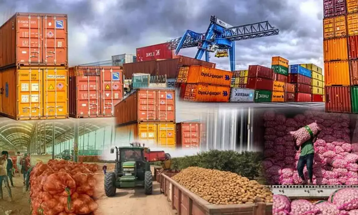 Lifting Rice Export Curbs To Boost Agri Shipments: Official