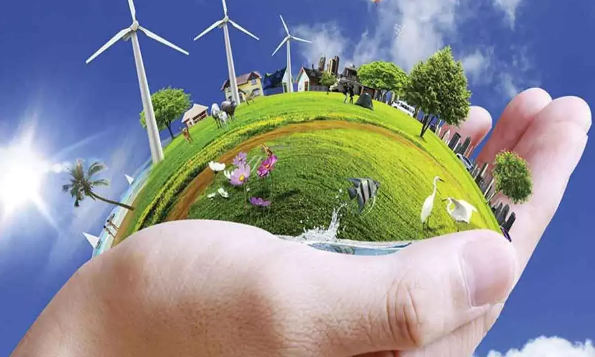 Clean Energy Policy Unlocks AP Biz Potential: Experts