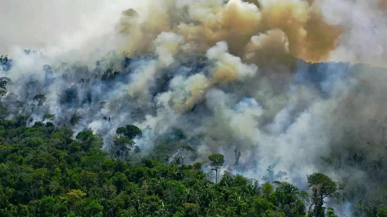 Unabated CO2 Emissions And Global Warming Will Kill Tropical Rain Forests Unabated CO2 Emissions And Global Warming Will Kill Tropical Rain Forests