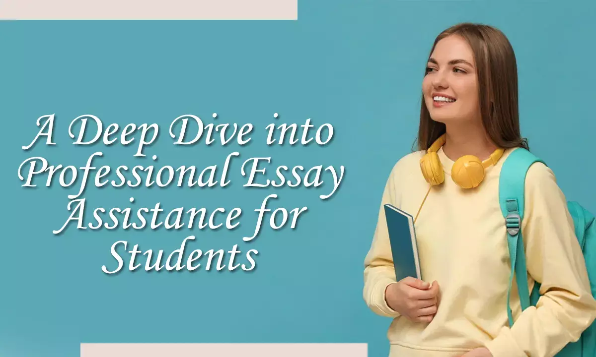 A Comprehensive Look at Professional Essay Help Services