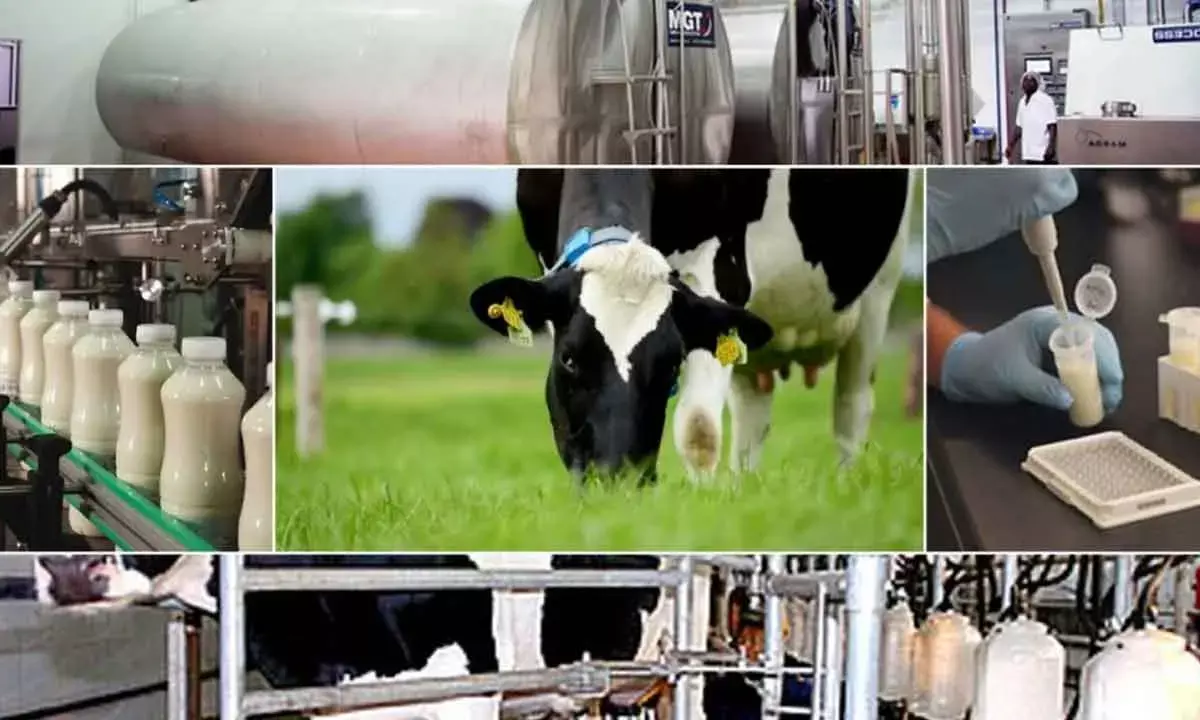 Centre Offers 4 Dairy Technologies To States