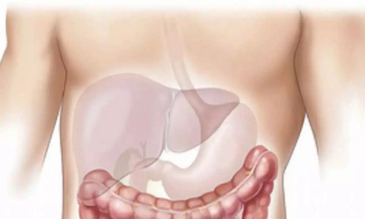 AI Can Boost Early Diagnosis Of Liver Disease: Study