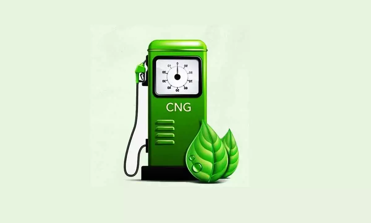 CNG Retailers Seek Price Hike, Govt Wants To See Cost