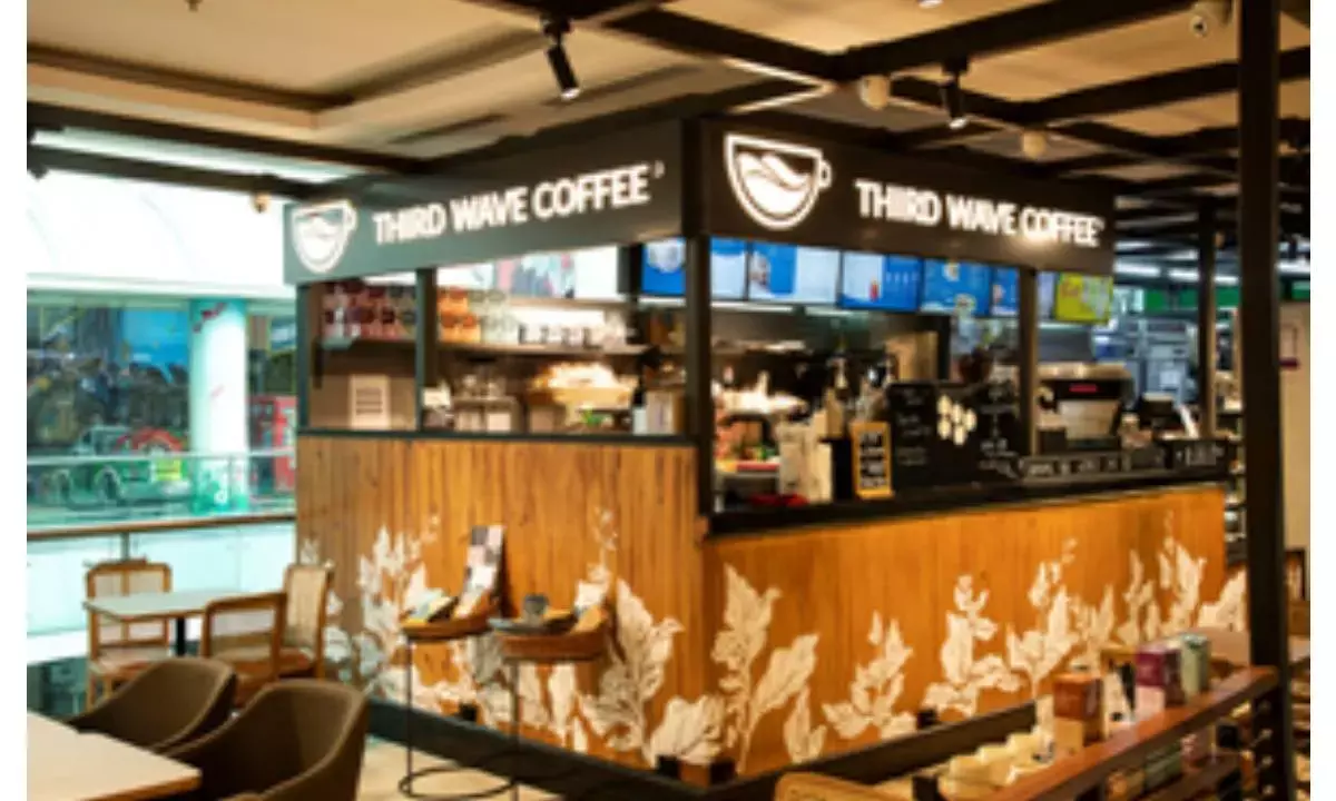 Third Wave Coffee’s net losses grow over 2 times to Rs 110 crore in FY24