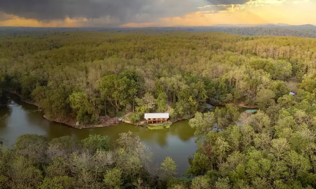 Jungle Camps India aims for Rs 100 cr revenue by 2028